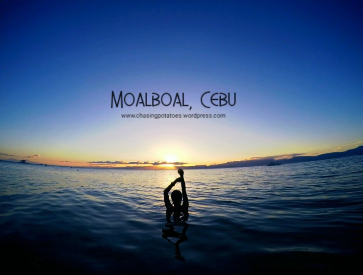 The Three Sites in Moalboal : Haven for Divers and Non Divers Alike